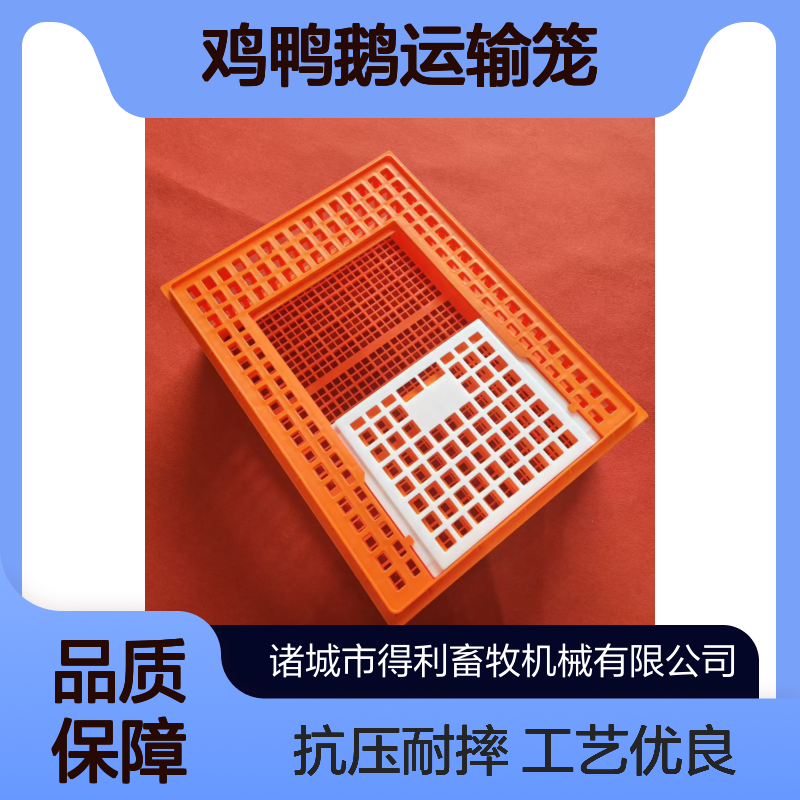 大成鸡笼子 塑料笼 淘汰鸡筐 鸡鸭鹅运输笼 加厚拉筋