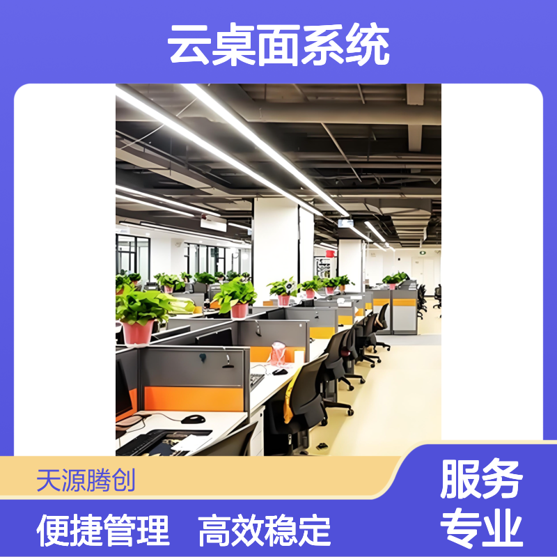 外贸企业云办公软件 IDV云桌面系统 x86胖终端