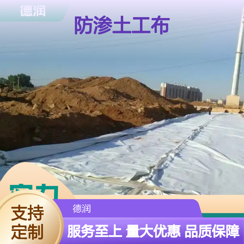 防渗土工布 煤矿工程用 耐腐蚀性强 抗老化强 一站式服务 厂家供应
