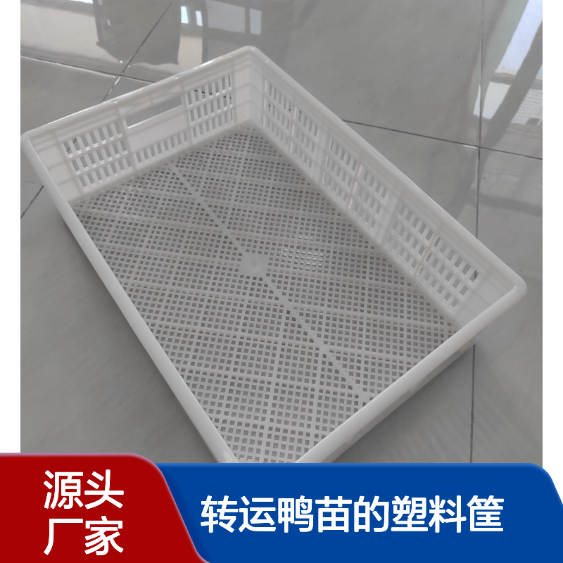 新式鸭苗筐 转运鸭苗的塑料筐 苗箱加厚耐用 厂家批发