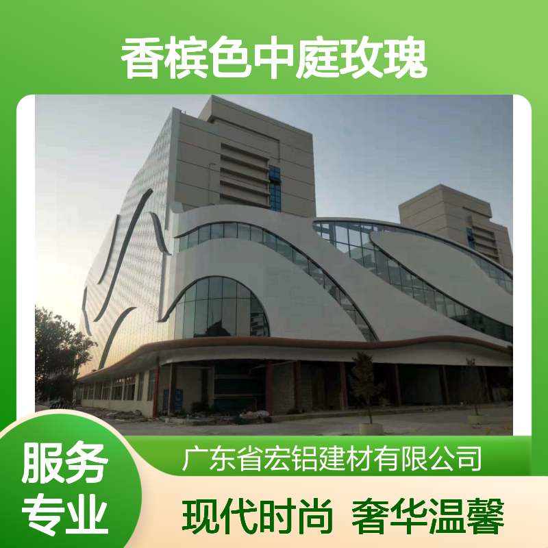 香槟色中庭玫瑰绽放，星河倾泻夜未央 加工定制 是