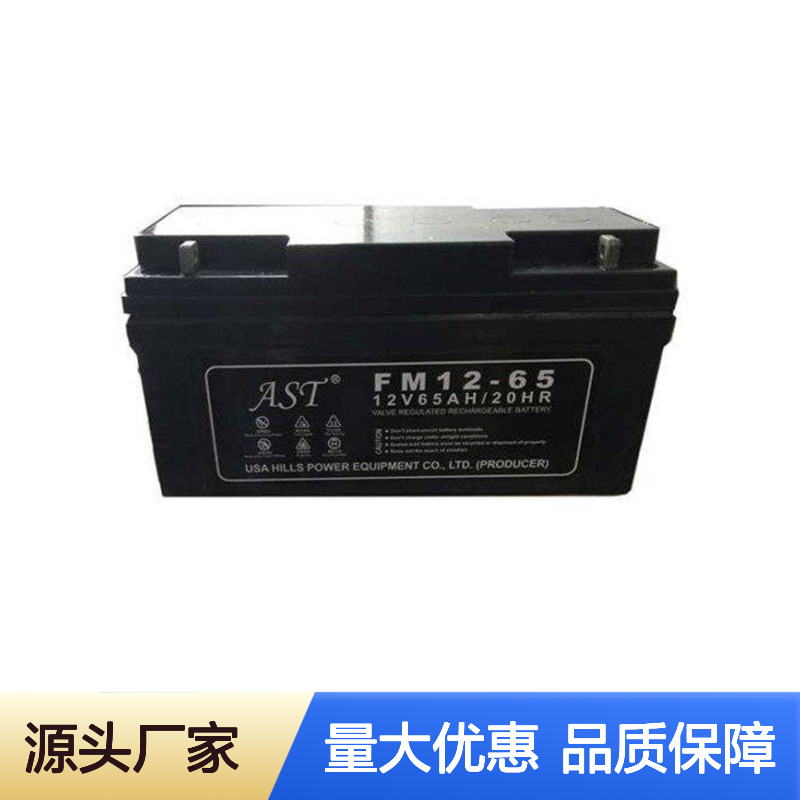 AST艾斯特铅酸免维护蓄电池12V17AH 适用安防监控UPS