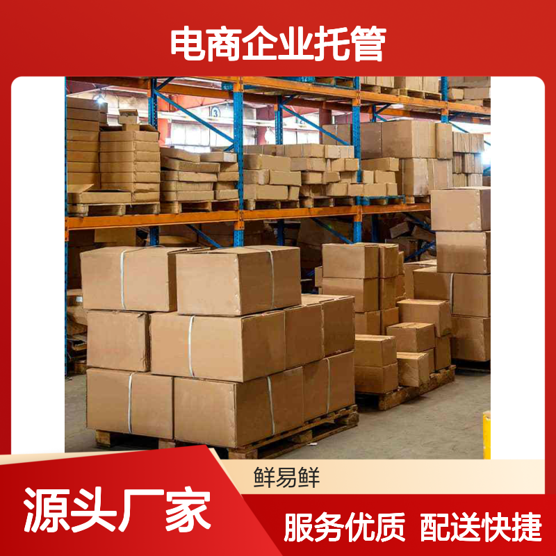 仓储+电商企业托管 一件代发 全程服务专业高效解难题