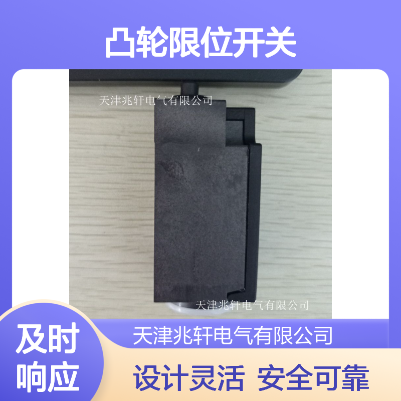 凸轮限位开关SRB-NA-R-C.22-24V 安全锁 长期供应 设计灵活