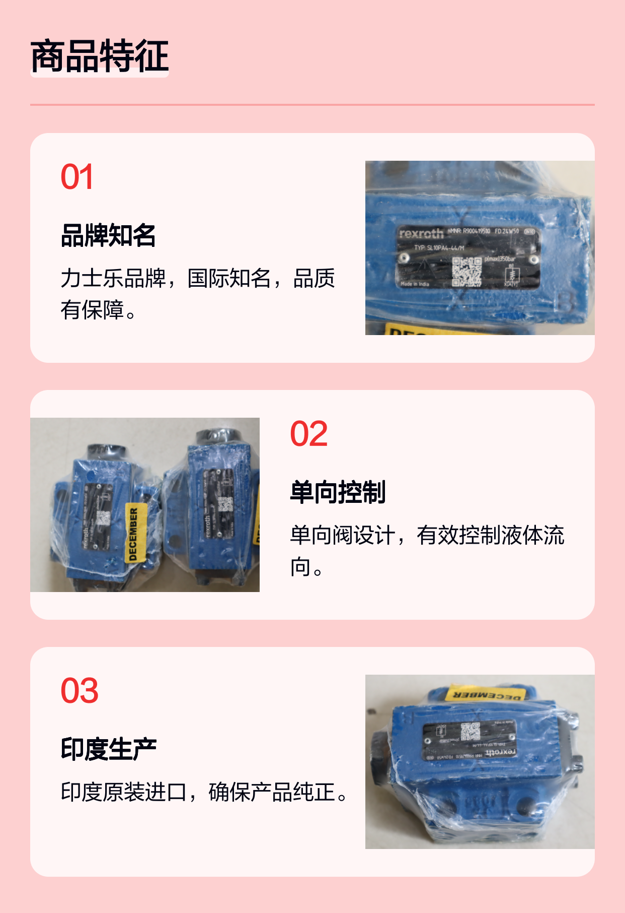 R900419510 SL10PA4-4X/M SL10PA4-42/M 力士乐REXROTH单向阀印度产