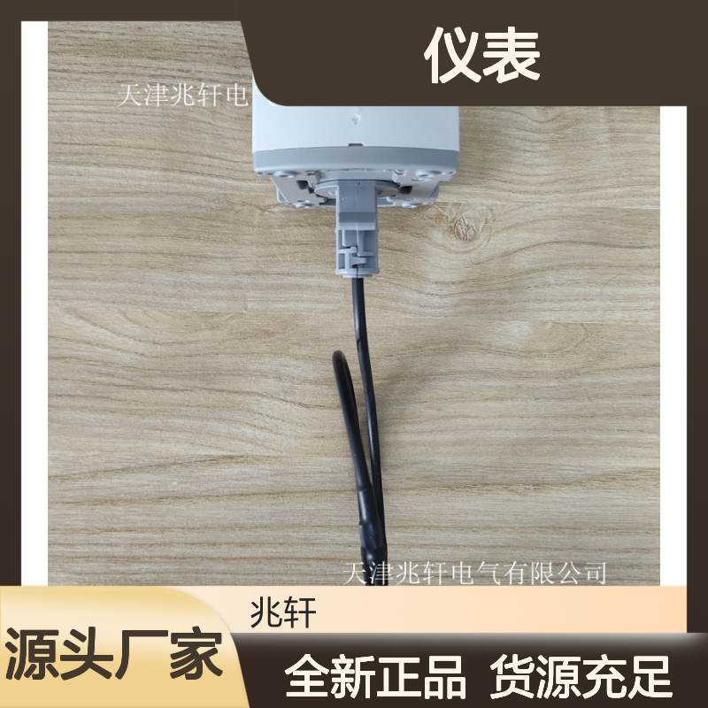 西门子仪表QAM2161.040全新原装正品 货源充足