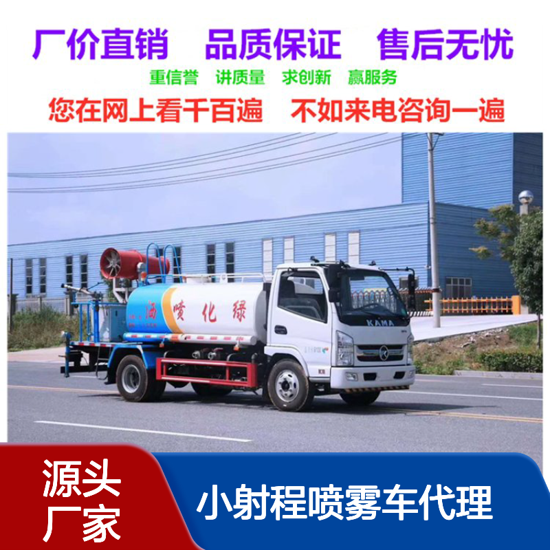 乡镇洒水车厂家销售点 汽油柴油动力 轻便灵活 小射程喷雾车代理商