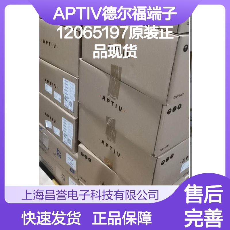 APTIV德尔福端子12065197 原装正品 现货直发 货源可溯