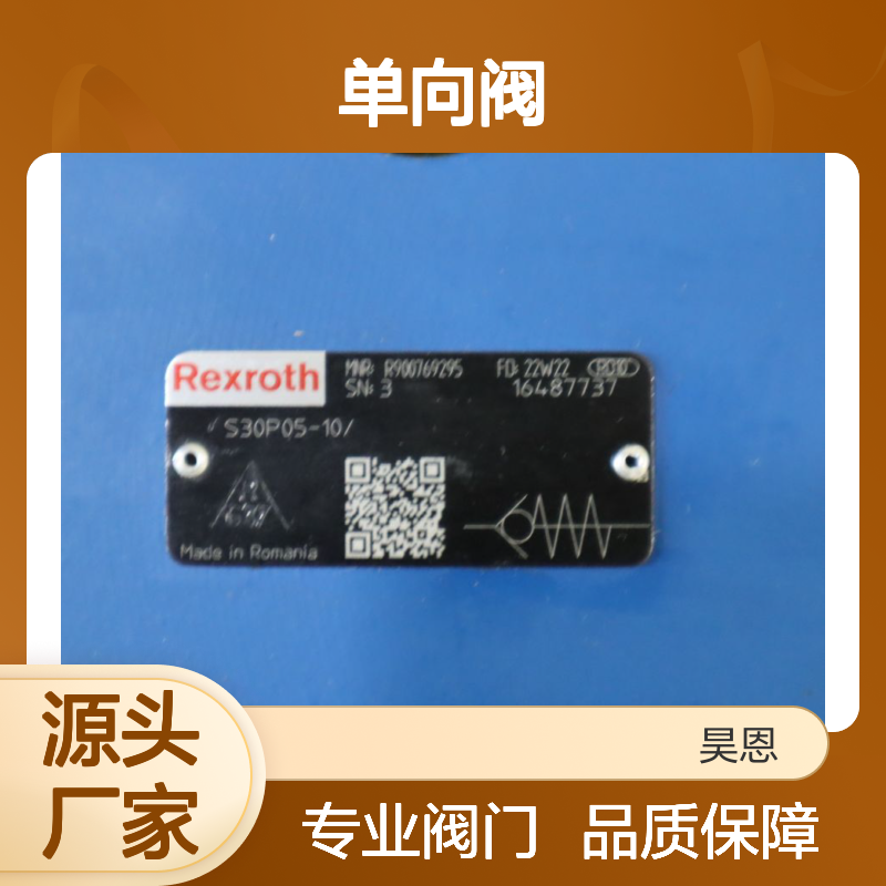 S30P05-10/ S30P05-1X/ S30P05-11/ R900769295 力士乐REXROTH单向阀