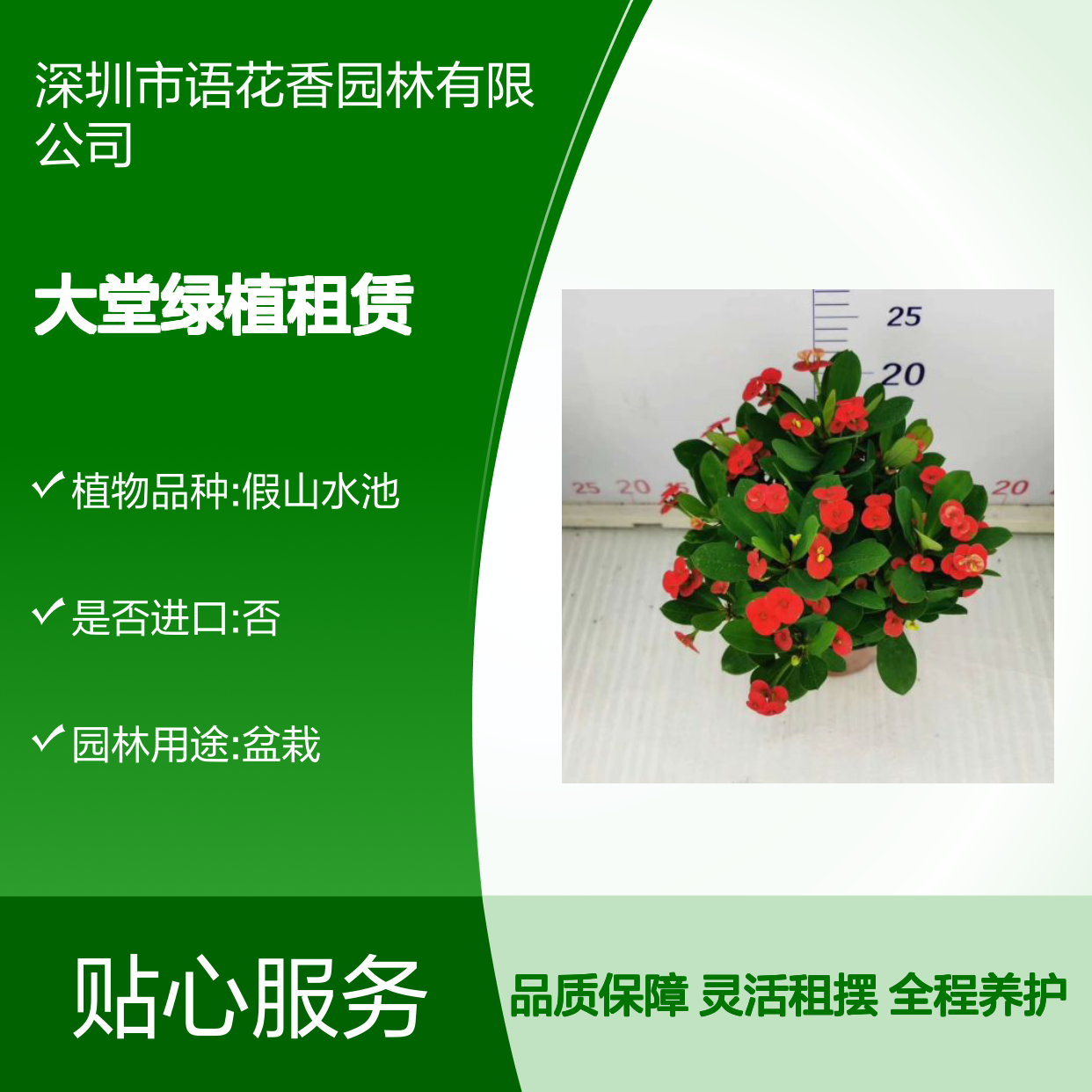 办公楼花木护理 大堂绿植租赁 酒店植物供应 语花香园林
