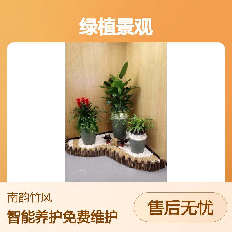 深 圳花箱绿植景观租赁 室内外花卉景观整体租摆 智能养护 免费维护