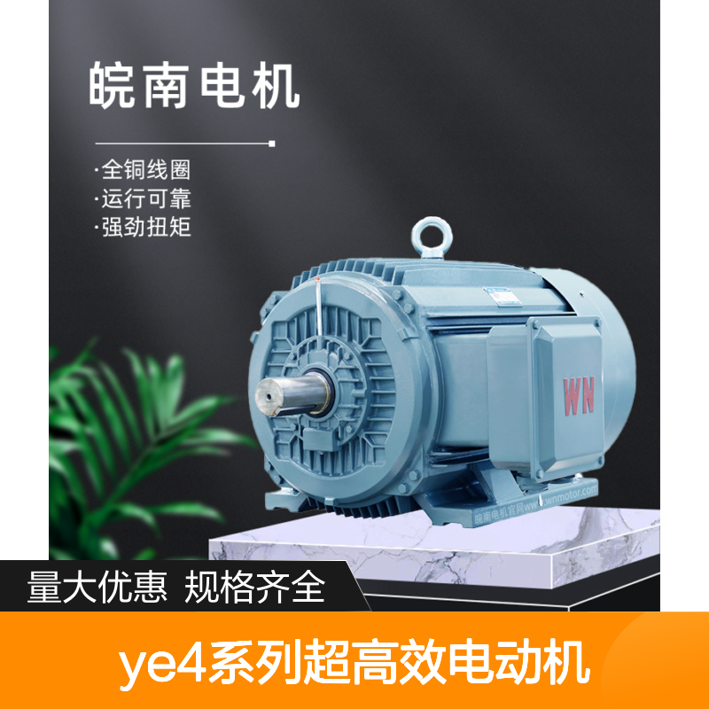 YE4系列超高效电动机 全铜线圈 运行平稳 性能可靠