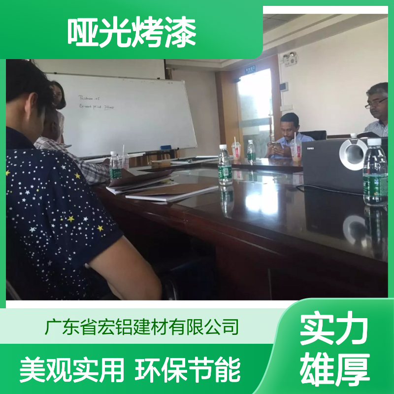 哑光烤漆：打造现代家居新风尚的低调奢华之美 材质型号 A1100-H24