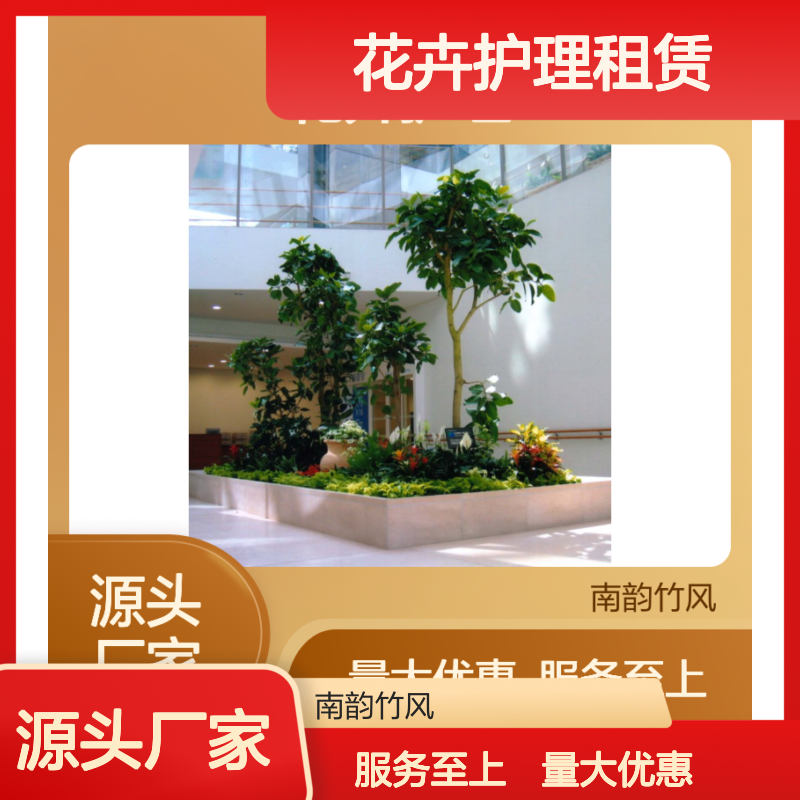 花卉护理租赁服务 写字楼绿化优选 成活率高 品质如一