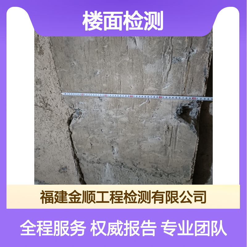 福建金顺厂房楼面承载力检测 基坑周边房屋安全检测 危房鉴定