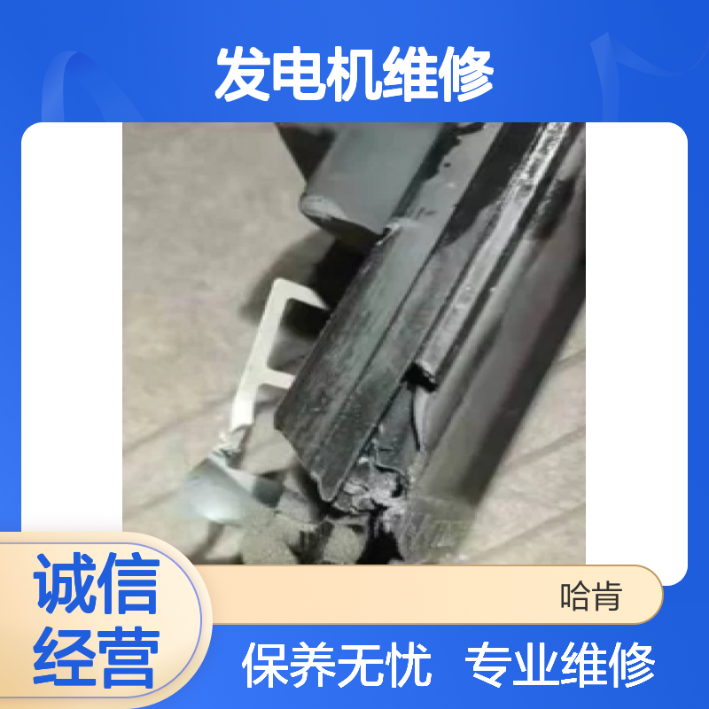 哈肯国际供应 YAMAHA雅马哈发电机维修 维护 保养