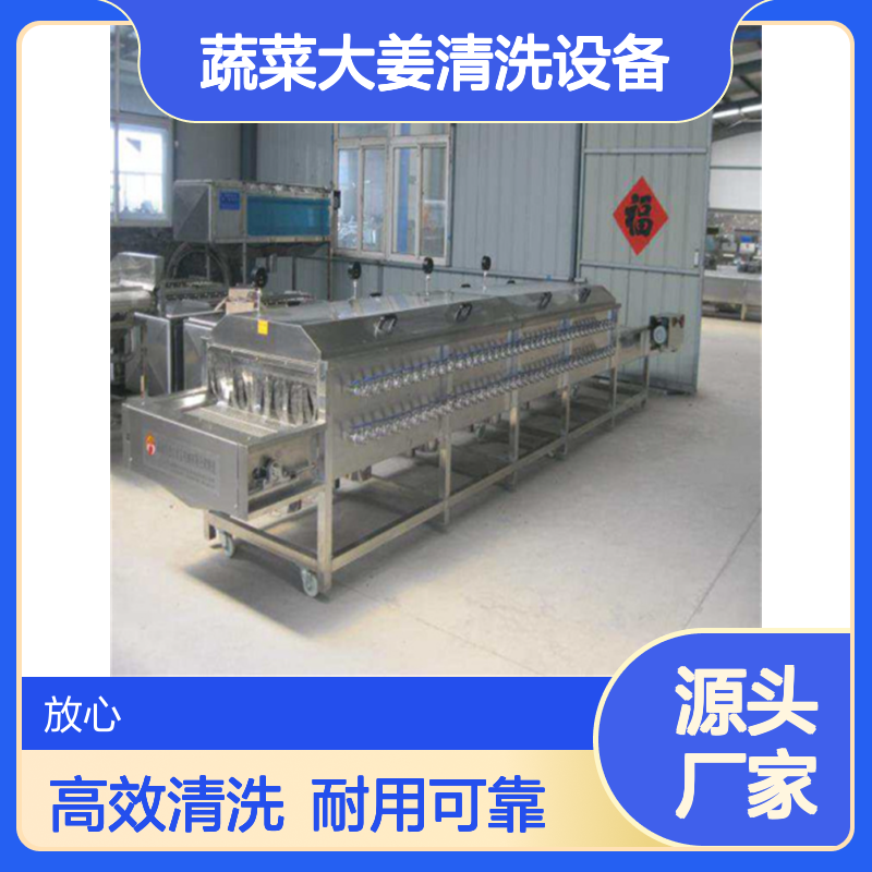 全自动商用大型水果 蔬菜大姜清洗设备 适用范围广 放心机械