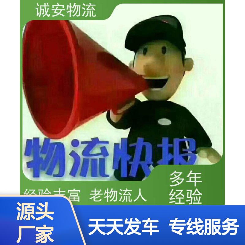 诚安物流3吨车一般贸易报关买单申报安全便捷一天到