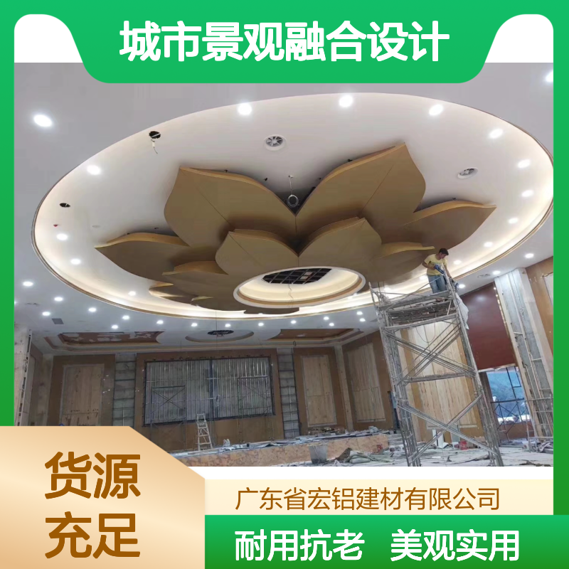 绿色大楼外墙的环保节能与城市景观融合设计 规格 定制