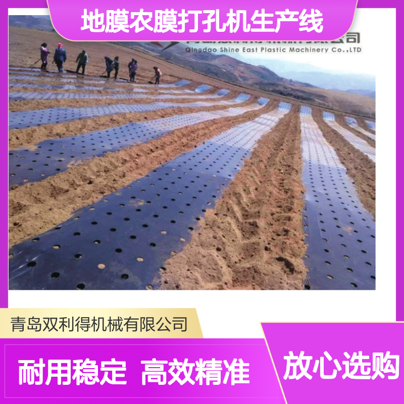 根据客户需求双利得定制塑料地膜农膜打孔机生产线
