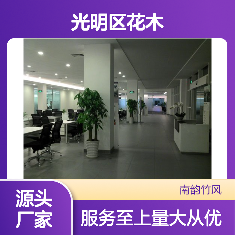 南韵竹风 光明区花木租赁服务 品种多样 成活率高