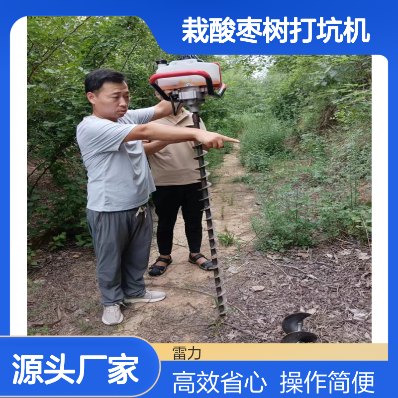 种植埋杆螺旋打孔机 小型栽酸枣树打坑机钻立杆打80深省心