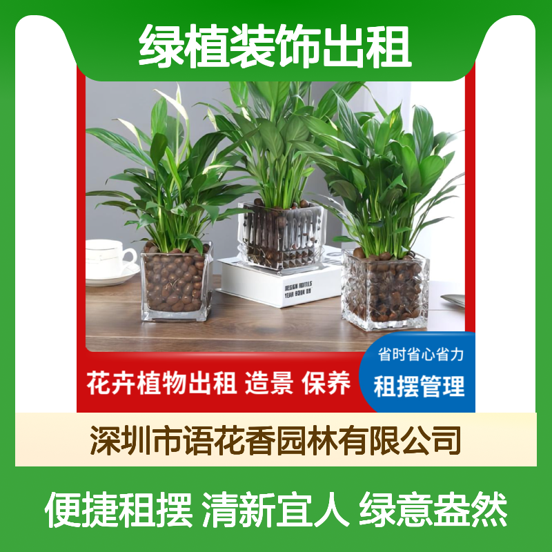 专业绿植盆栽租赁 室内外造景设计 全程养护服务