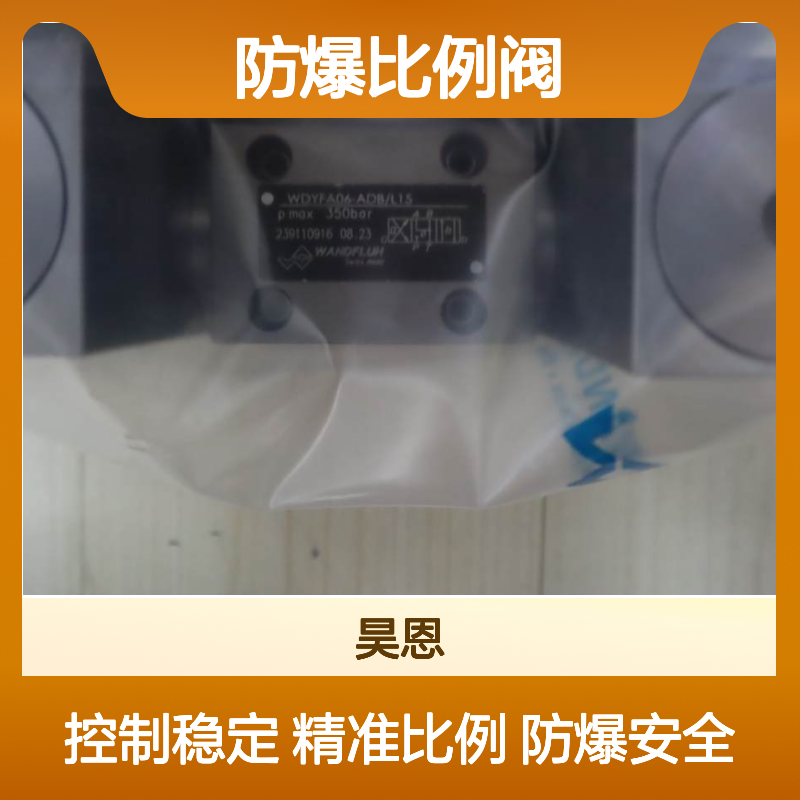 WDYFA06-ADB/L15 瑞士万福乐 WANDFLUH 防爆比例阀