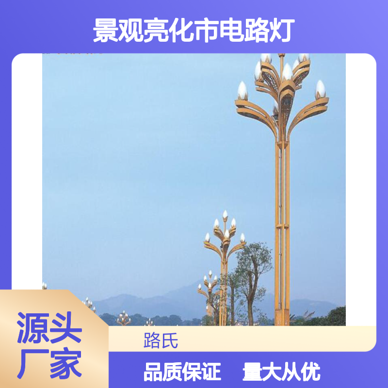 定制玉兰灯 户外景观亮化灯 专业电路灯 精美设计