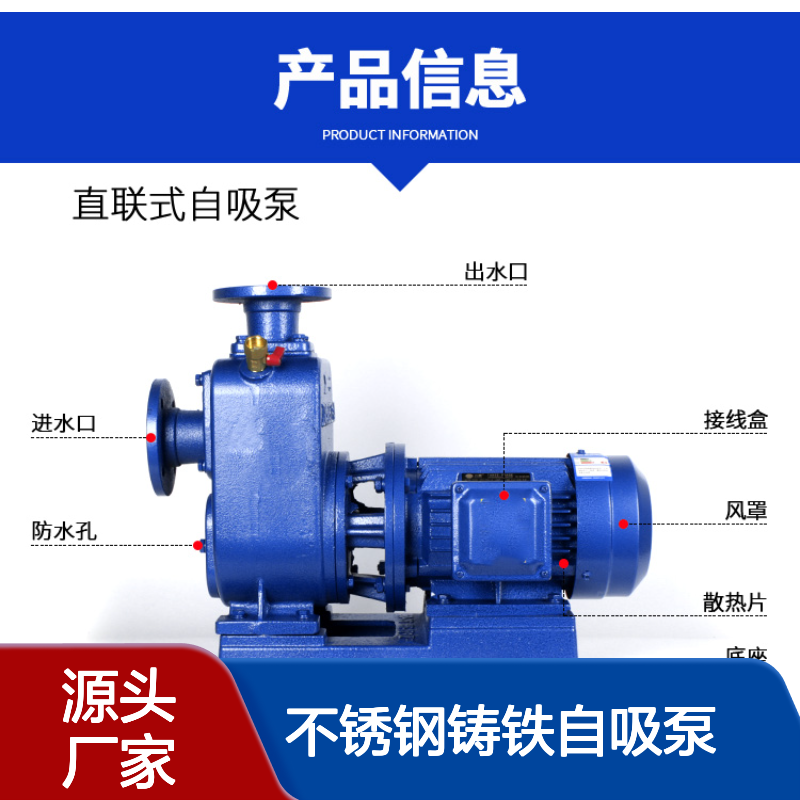 ZXL型直联式不锈钢铸铁自吸泵 离心 清水化工 博生水泵
