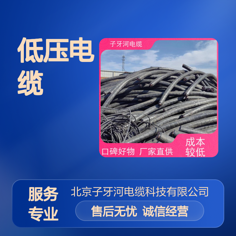 子牙河科技 低压电缆 专业回收 免费评估 可现场结算 废电高价收