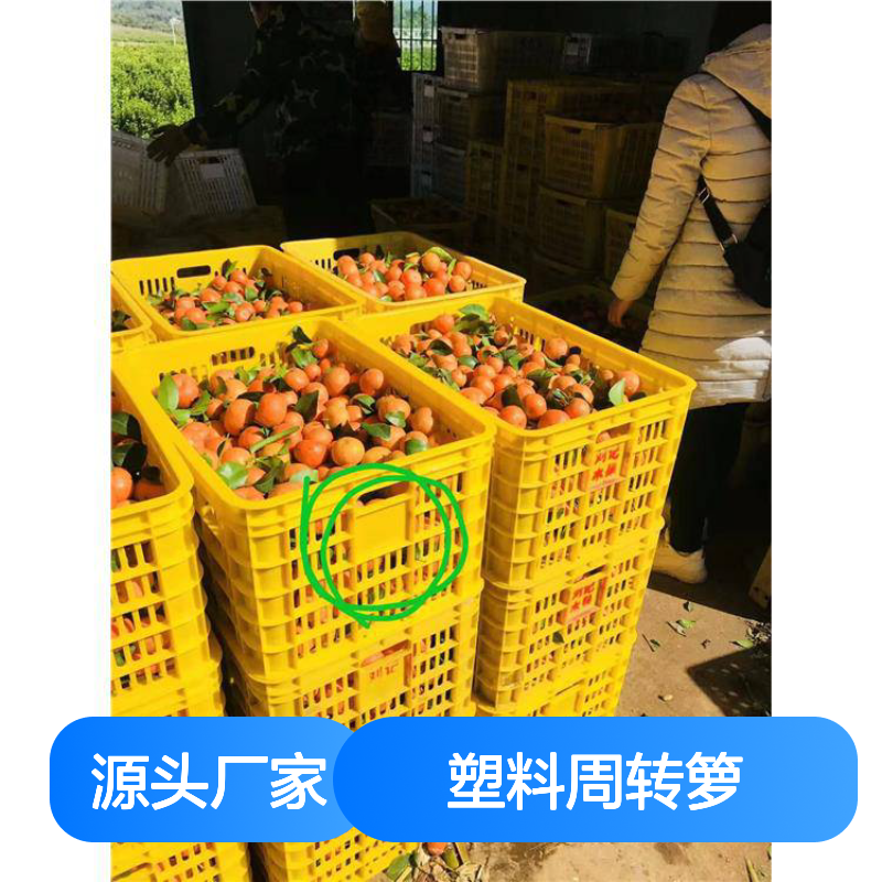 乔丰塑胶周转箩 耐用易清洗 全新料制 灵活付款