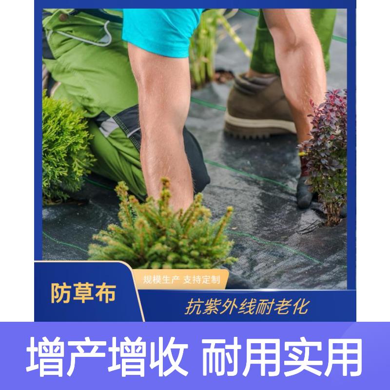 德风塑编植生布 抗紫外线耐老化 防潮防霉 适用于农业种植覆盖
