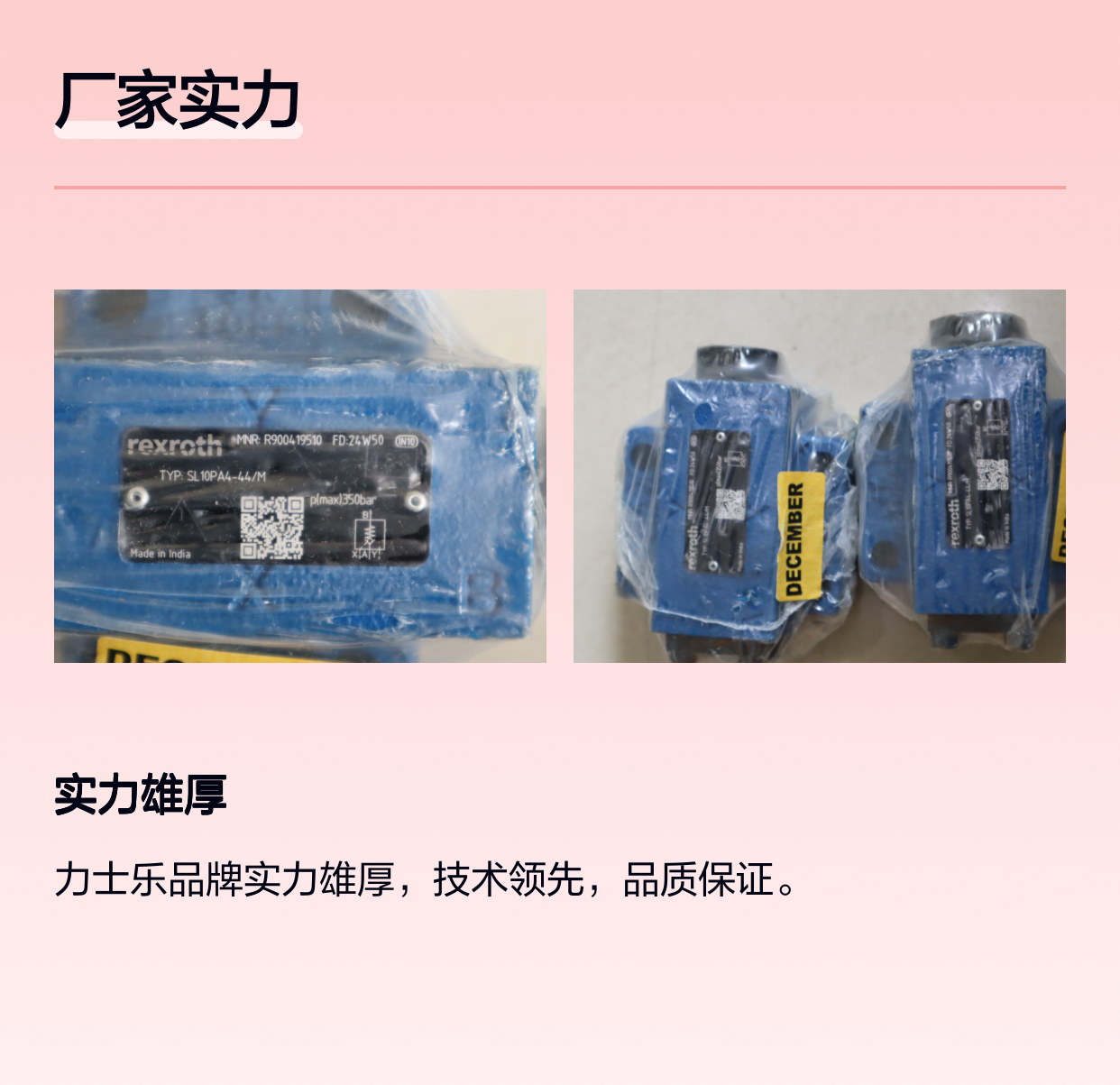 R900419510 SL10PA4-4X/M SL10PA4-42/M 力士乐REXROTH单向阀印度产