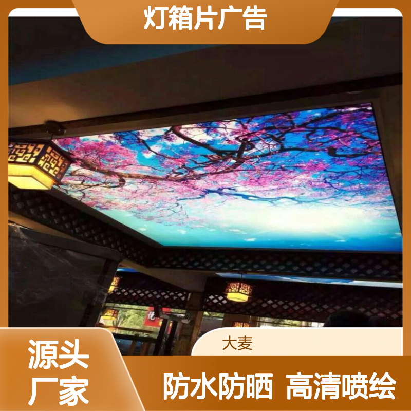 pvc灯片写真 韩国进口uv灯片喷绘 灯箱片广告画面厂家制作