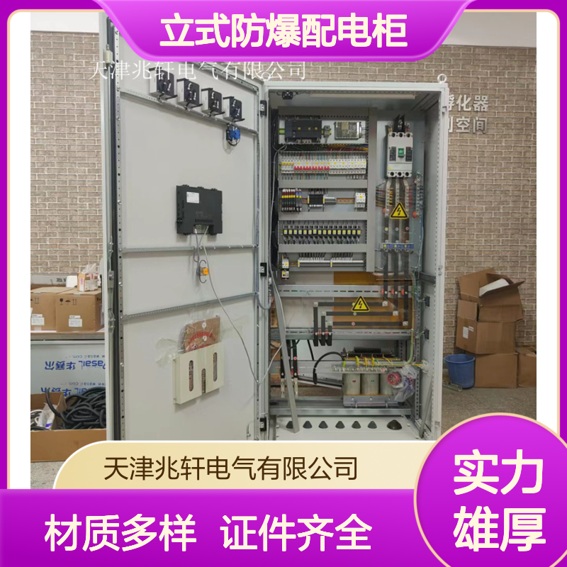 立式防爆配电柜 源头厂家出售 证件齐全 多种材质