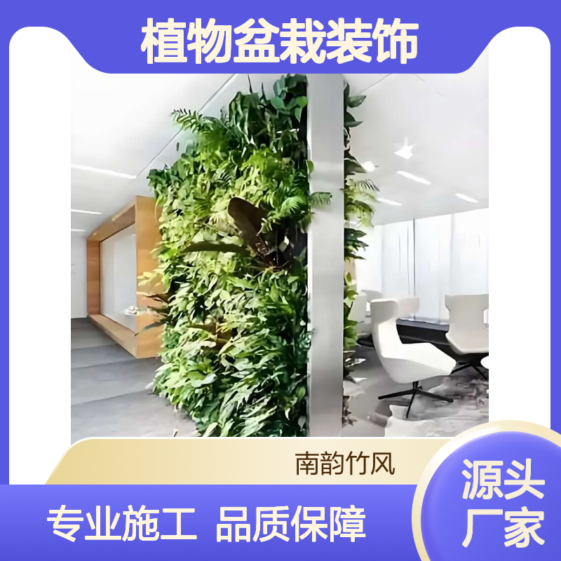 南韵竹风 植物盆栽装饰 垂直景观制作 绿植墙施工现场指导