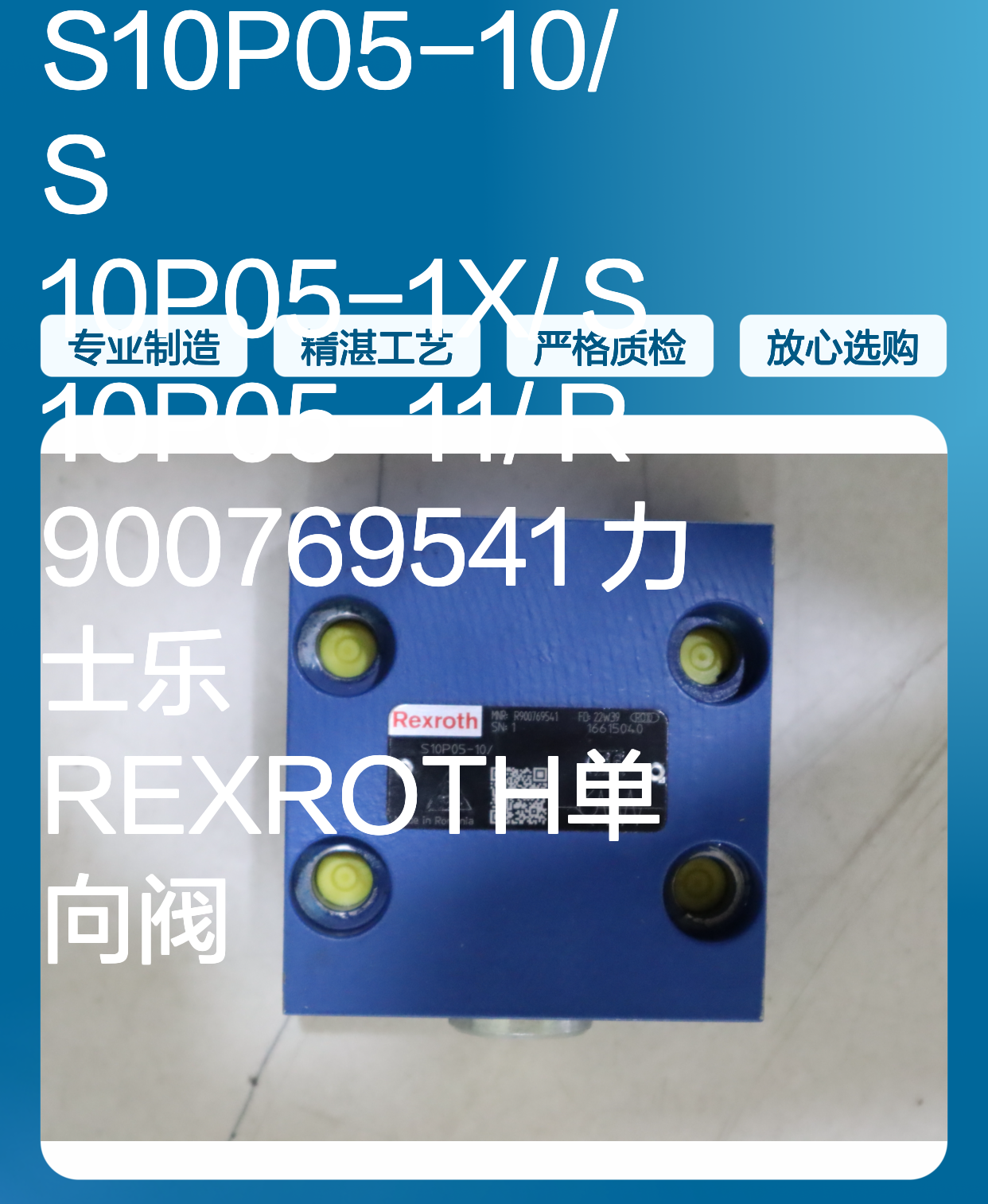 S10P05-10/ S10P05-1X/ S10P05-11/ R900769541 力士乐REXROTH单向阀