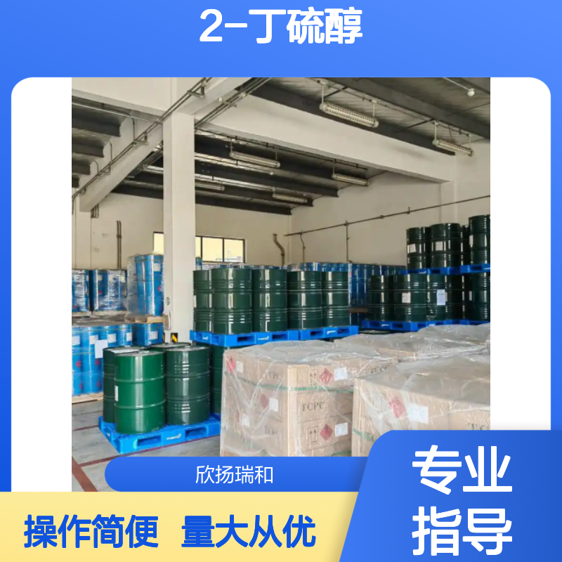 2-丁硫醇 CAS:513-53-1 高纯度有机合成中间体 工业级应用