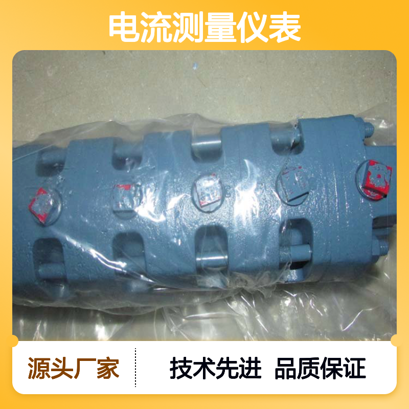 DELTA分流器P21-1-1型号DC2010220VAC类型电流测量仪表