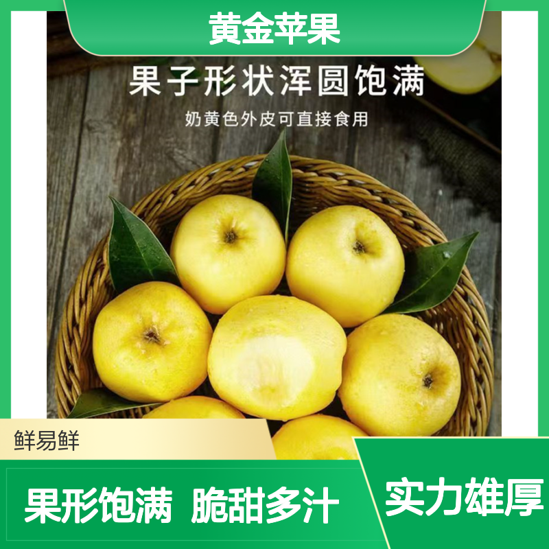 维纳斯黄金苹果 新鲜脆甜多汁 果形饱满 芳香四溢 批发配送