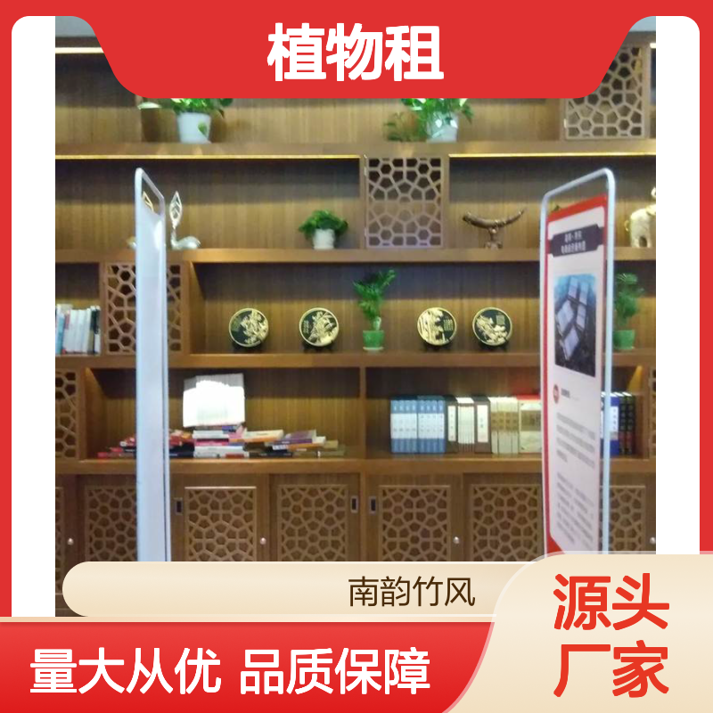 植物租赁服务 办公室绿植租摆 品种多样 成活率高