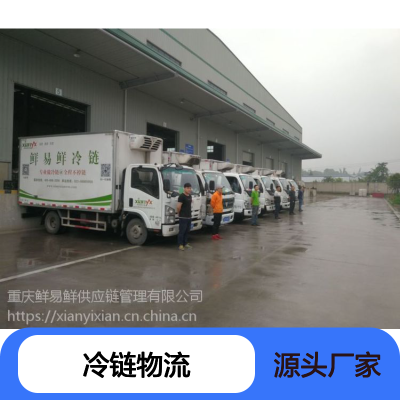 东莞到广州冷链物流 同城配送 整车零担运输 高效便捷 优选鲜易鲜