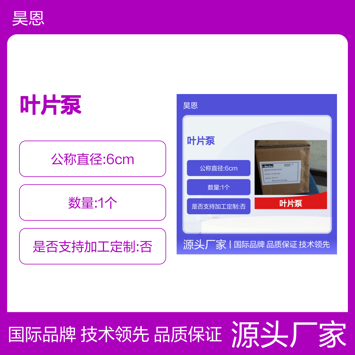 T6C 025 1L03 B1 024-03484-003S 美国派克PARKER 叶片泵