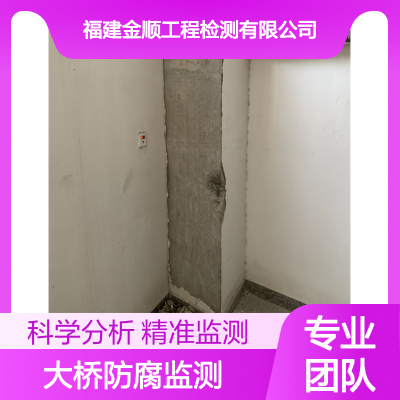 福建金顺工程检测 跨海大桥防腐监测 对抗盐雾侵蚀