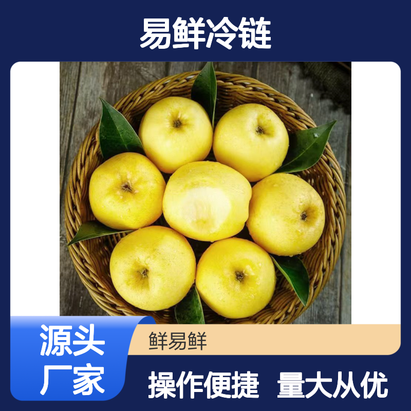 鲜易鲜冷链 维纳斯黄金苹果 冷藏配送 甜度12-18°多汁果肉