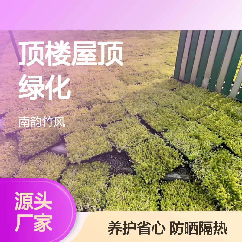 顶楼屋顶绿化 铺草皮防晒隔热 保护防水层 智能养护 南韵竹风
