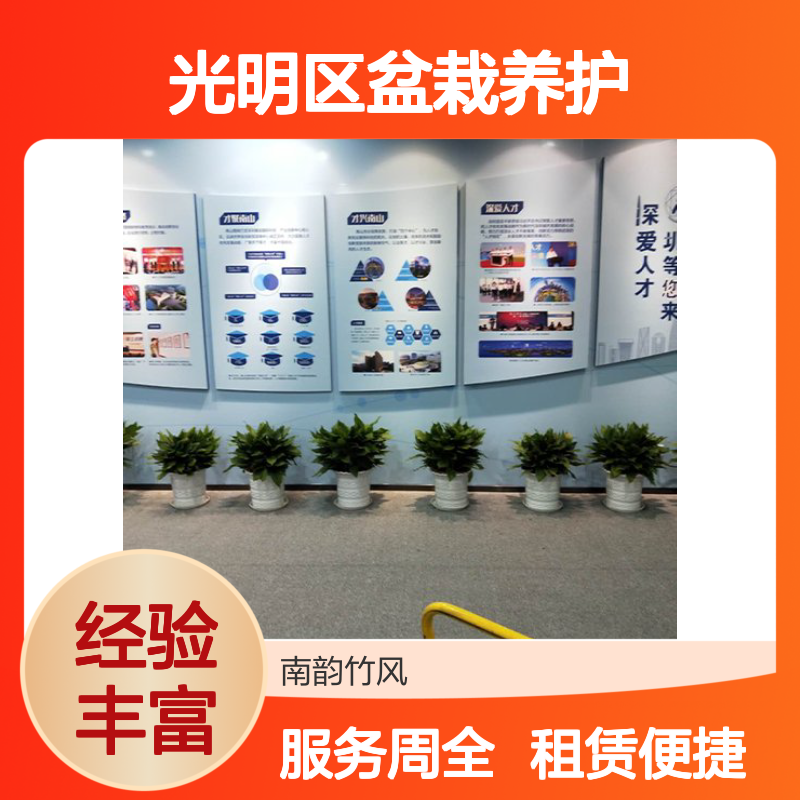光明区盆栽养护 绿植租赁服务全 品质如一 货源充足