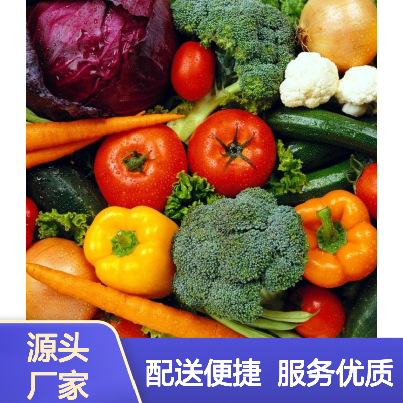 生鲜零担物流 食材配送 生鲜配送 果蔬配送 速冻产品配送
