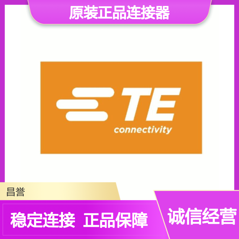 WM-2SB TE Connectivity原装正品连接器锁片 工业级耐用配件